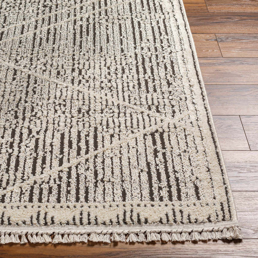Close up of the Luuk Area Rug showing its brown and ivory geometric pattern and fringe detail. Front