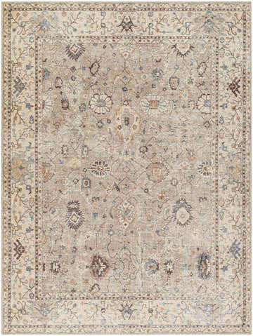 Close-up of the Davina Damask Beige rug, a traditional style rug with dark brown, gray, and nutmeg floral damask pattern. Design-Rectangle-537