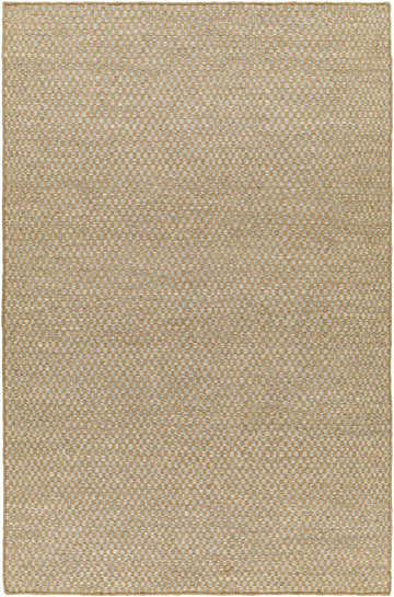 Close-up of the Ayers Beige & Gray Area Rug showing a woven geometric pattern and jute wool texture. Design-Rectangle-576