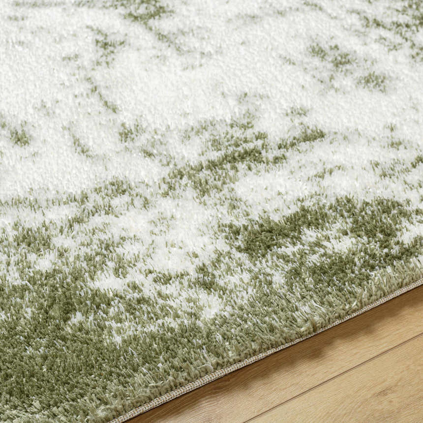 Close up of the Jioni Area Rug showing beige and bone shag texture and machine woven construction. Texture