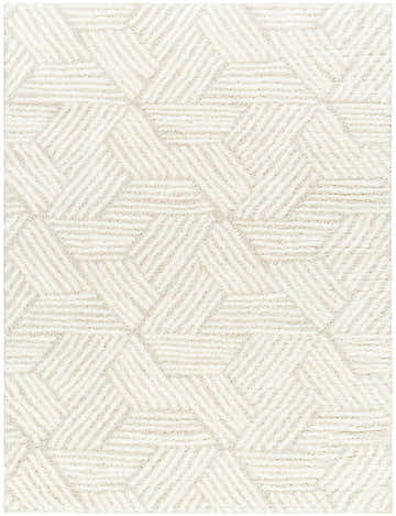Close-up of the Mura Cream Area Rug. Geometric shag rug in off-white and beige polyester. Design-Rectangle-537