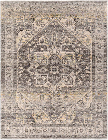 Close-up of the Ailsa Area Rug in dark gray, lambswool, and brown. Traditional, distressed medallion pattern. Design-Rectangle-71010