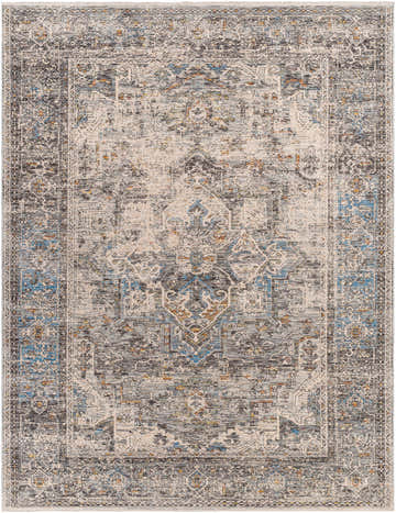 Close-up of the Erela Area Rug featuring a traditional, distressed pattern in clay, gray, and blue tones. Design-Rectangle-71010