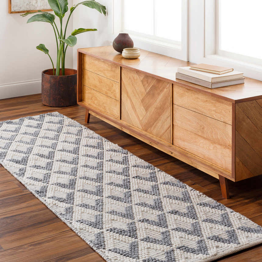 Entryway with a Maik Area Rug in dark gray and light gray, wood console table, and potted plant. Roomscene-Runner