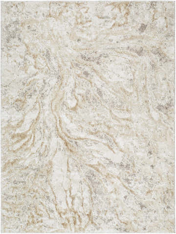 Close-up of the Syler Area Rug featuring a light silver and warm gray abstract pattern. Design-Rectangle-5373