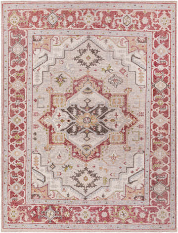 Close-up of the Side Premium Rug - Clearance. Hand-knotted rug with brick red, cream, and brown traditional patterns. Design-Rectangle-810