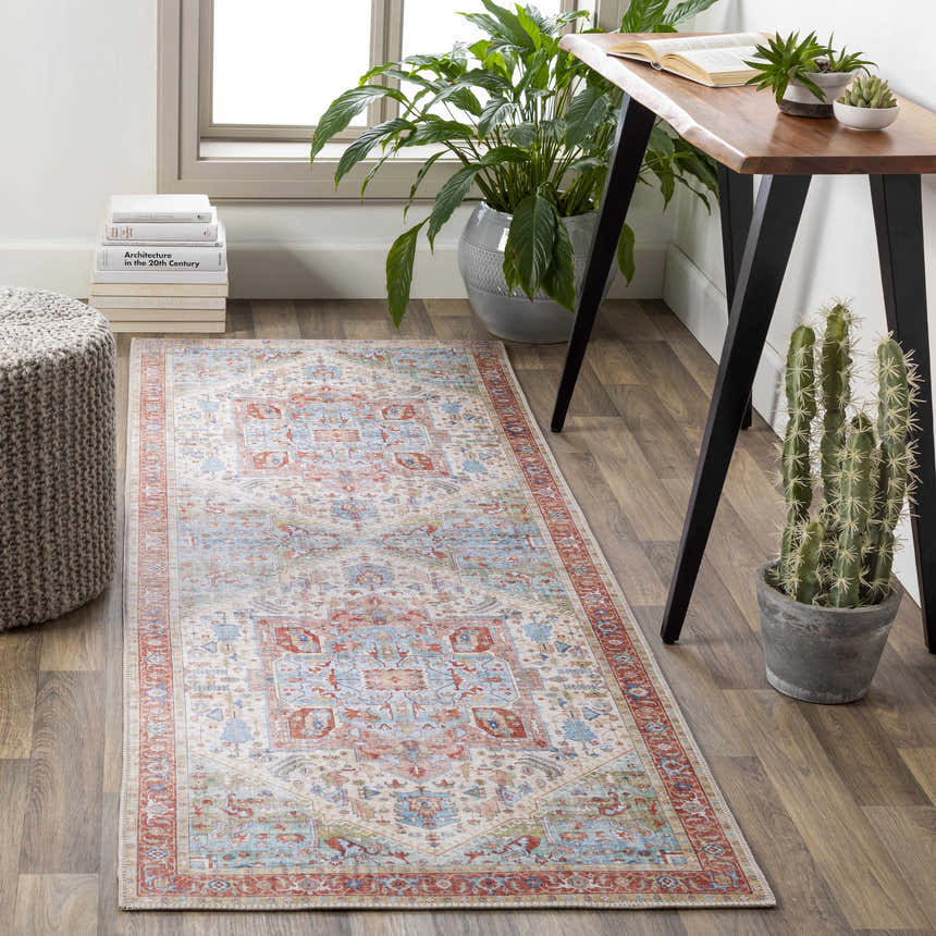 Home office scene with a brick red and blue Selbyville Area Rug, wood desk, plants, and books. Roomscene-Runner