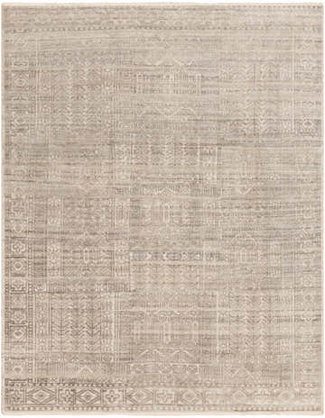 Close-up of the hand-knotted Selfridge Area Rug. Beige, taupe, and dark brown traditional pattern. Wool texture. Design-Rectangle