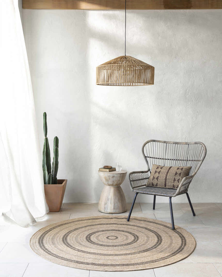 Neutral room scene with a round Beril Area Rug, woven chair, side table, cactus, and tan pendant light. Roomscene-Round