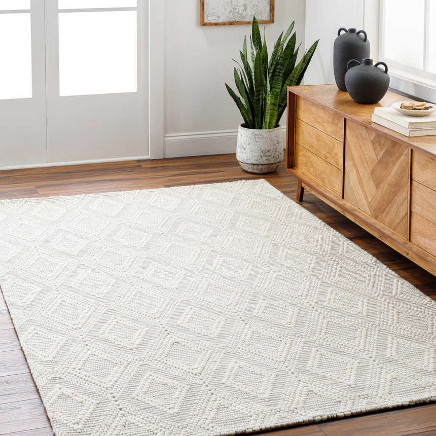 Living room scene with a Kasib Cream Hand Woven Area Rug, wood floors, and a mid-century modern console table. Roomscene-Rectangle