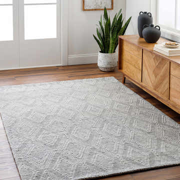 Living room scene with a Kasib Gray Hand Woven Area Rug, wood console table, and snake plant. Farmhouse style. Roomscene-Rectangle
