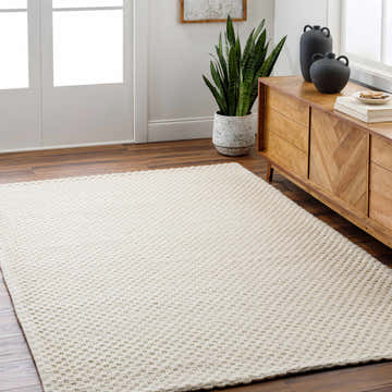 Entryway with a Kassa Cream Hand Woven Area Rug, wood floors, console table, and potted snake plant. Roomscene-Rectangle