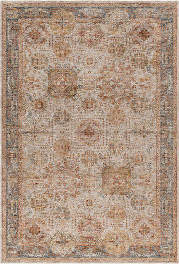 Detailed view of the Ange Tan & Blue Rich Textured Traditional Rug with clay, mocha, and blue floral patterns. Design-Rectangle-6796