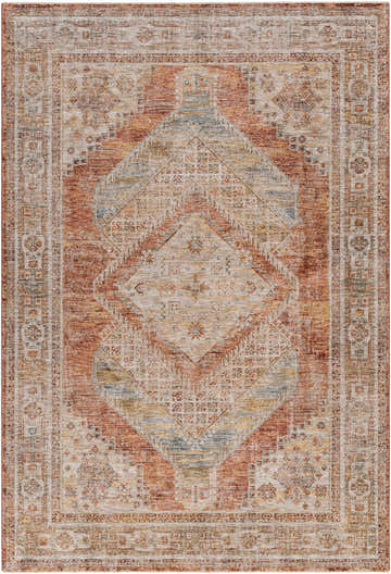 Detailed close-up of the Moya Rust Rich Textured Traditional Rug with bone, clay, and brown colors. Design-Rectangle-6796