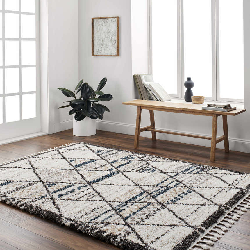 Bright entryway with a beige Gomez Area Rug, wood floors, and bench with books. Roomscene-Rectangle