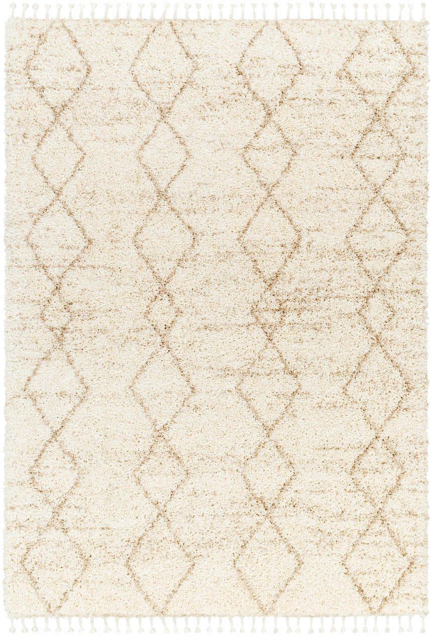 Close-up of the Ishan Cream Area Rug featuring a diamond pattern and tassels. Beige, tan, and cream shag rug. Design-Rectangle-537