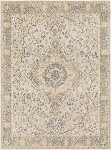 Close-up of the Cara Flat Pile Washable Rug. Traditional oriental design in off-white, tan, olive, and blue hues. Machine woven texture. Design-Rectangle-537