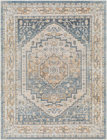Close-up of the Nana Washable Area Rug, a traditional rug with charcoal, gray, and brown tones. Machine-woven polyester and polypropylene. Design-Rectangle-537