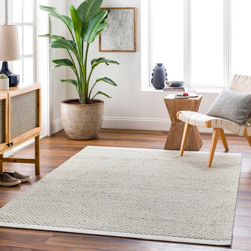 Living room scene with a Cream Emlen Area Rug, wood floors, woven chair, side table, and potted plant by a bright window. Roomscene-Rectangle