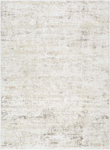 Close-up of the Siraj Area Rug. Light silver, silver gray, and white create a neutral, textured pattern. Design-Rectangle-5373