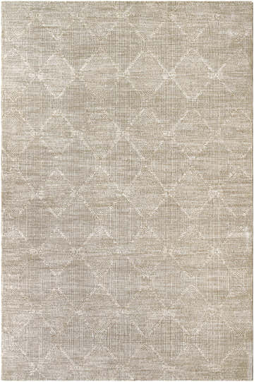 Close-up of the beige Dekan Area Rug featuring a subtle diamond pattern and textured weave. Design-Rectangle-6796