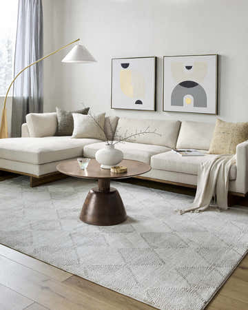 Neutral living room with a beige sectional sofa and the beige Dekan Area Rug. Roomscene-Rectangle