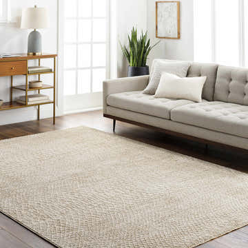 Living room scene with beige Kaiya Area Rug, light gray sofa, wood console table, and natural light. Roomscene-Rectangle