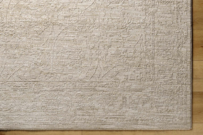 Close-up of the light gray Kyran Area Rug showing its traditional pattern and soft texture. Corner