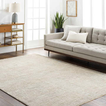 Living room scene with a light gray Laina Area Rug, sofa, wood console table, and houseplant. Roomscene-Rectangle