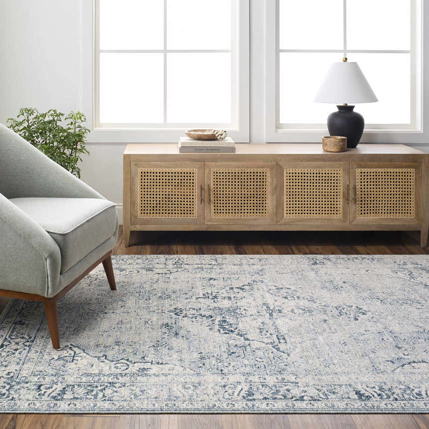Living room scene with a Jemma Blue Medallion Area Rug, gray chair, and wooden cabinet under a bright window. Roomscene-Rectangle