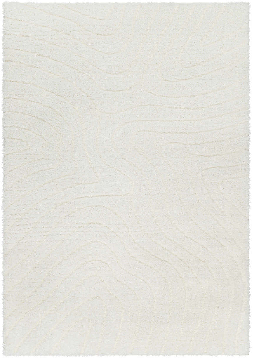 Close-up of the Kanga Area Rug, a beige shag rug with a subtle, contemporary wave pattern and soft texture. Design-Rectangle-537