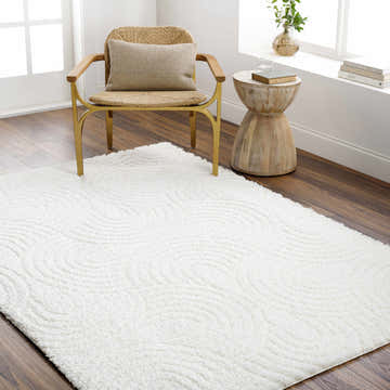 Living room scene with a beige Kaoru Area Rug, woven chair, and wood side table. Roomscene-Rectangle