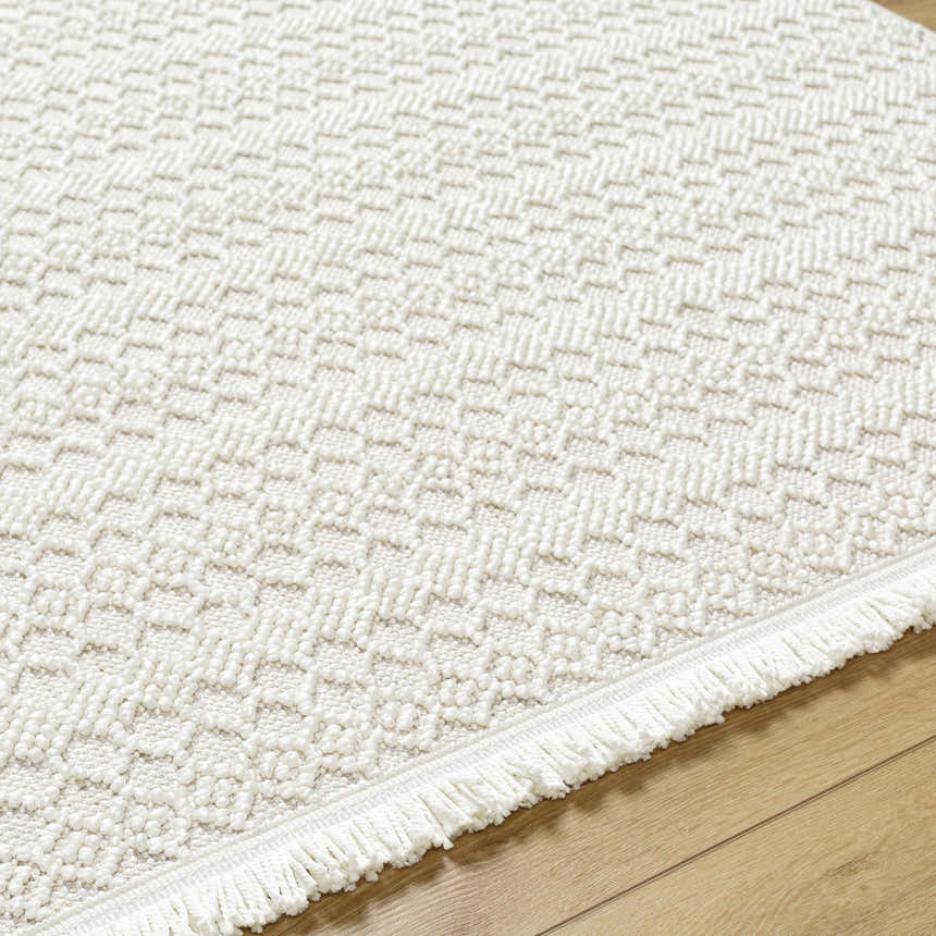Close-up of the textured, off-white Hamal Area Rug showing geometric patterns and fringe detail. Texture