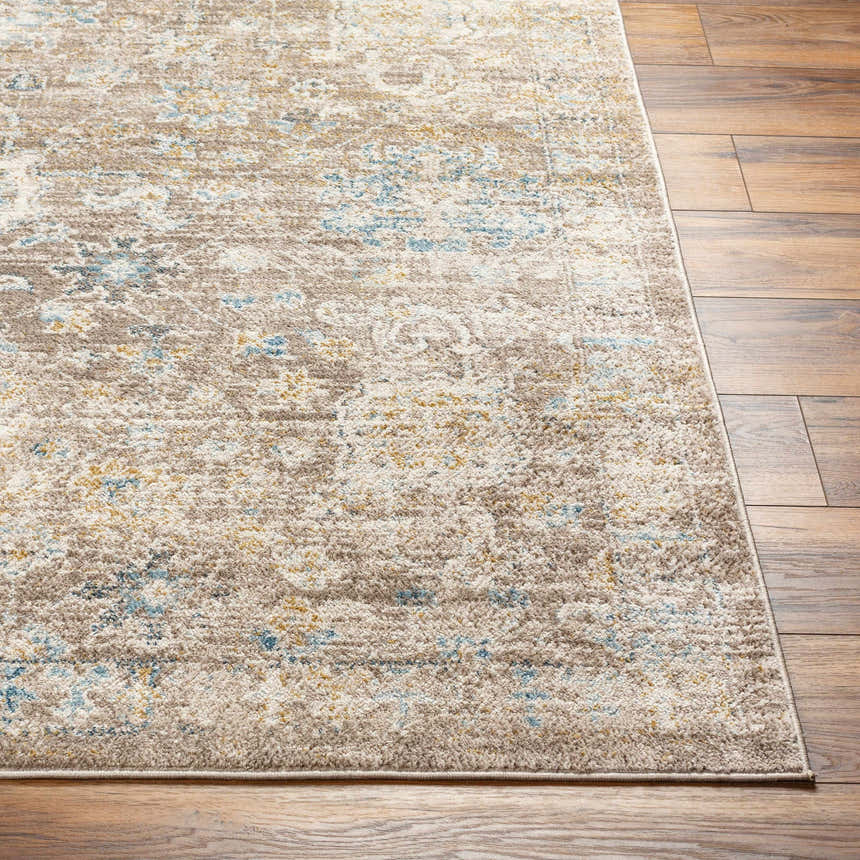 Close-up of the Harim Light Brown Area Rug showing its traditional pattern, light brown, blue, and gold colors. Front