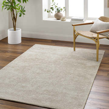 Living room scene with a neutral Pirro Premium Wool Blend Rug, woven chair, and potted plant. Roomscene-Rectangle