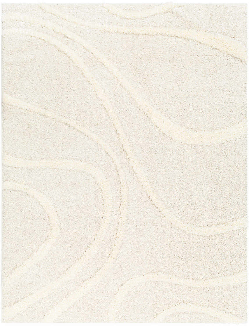 Close up of the Horst Off White Area Rug showing its shag texture and subtle, swirling pattern. Design-Rectangle-537