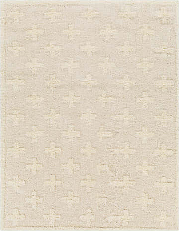 Close-up of the Satu Cream Area Rug, a shag rug with a subtle geometric plus sign pattern in bone and driftwood tones. Design-Rectangle-537