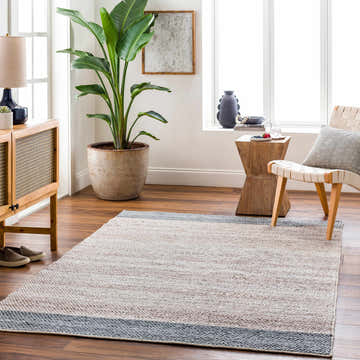 Living room scene with a neutral Edwin Area Rug, wood furniture, and a large potted plant near a bright window. Roomscene-Rectangle