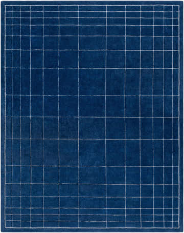 Close-up of the Sedna Navy Wool Area Rug, a hand-tufted rug with a geometric grid pattern in navy and gray. Design-Rectangle-810
