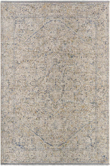 Close-up of the Charo Dusty Sage Area Rug featuring a traditional, distressed pattern in sage, gray, and tan hues. Design-Rectangle-6796