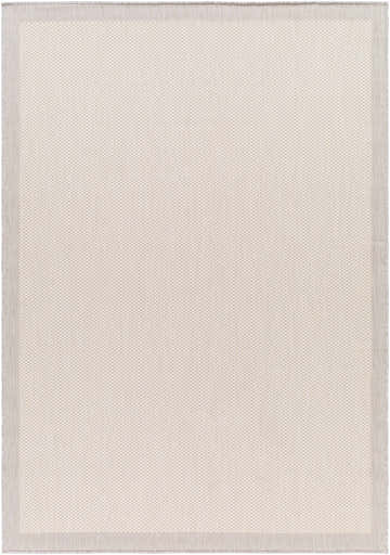 Close-up of the Aleid Cream Area Rug showing its bone and beige woven texture and subtle gray border. Design-Rectangle-537