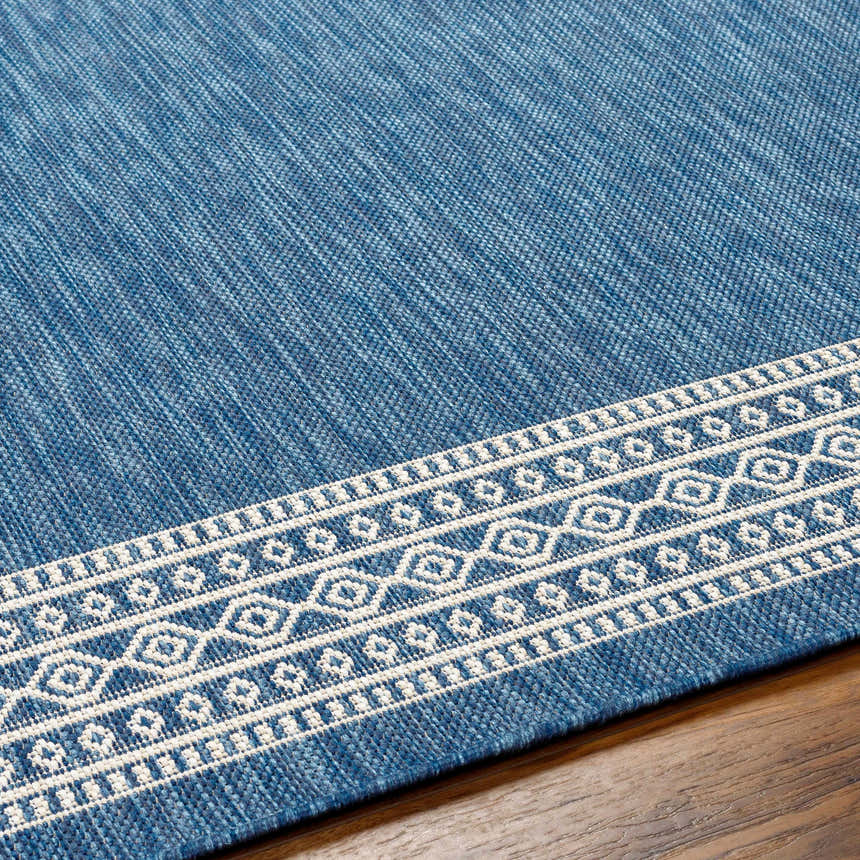Close-up of the blue Aleli Blue Area Rug showing its woven texture and geometric border pattern. Texture