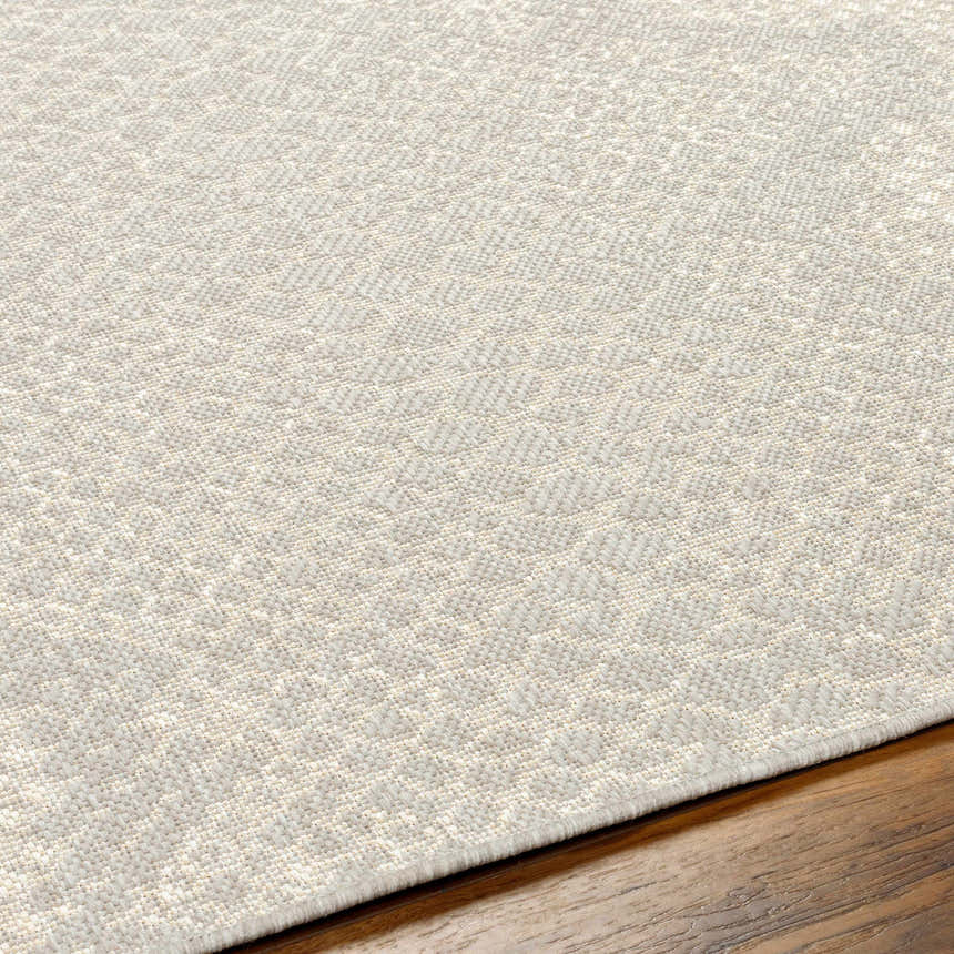 Close-up of the Estee Cream Snake-Patterned Area Rug showing beige, bone, and gray tones and subtle animal print texture. Texture