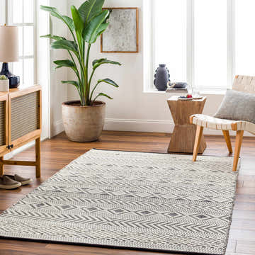 Living room with gray and off-white Asuka Area Rug, wood floors, cabinet, chair, and large potted plant near window. Roomscene-Rectangle