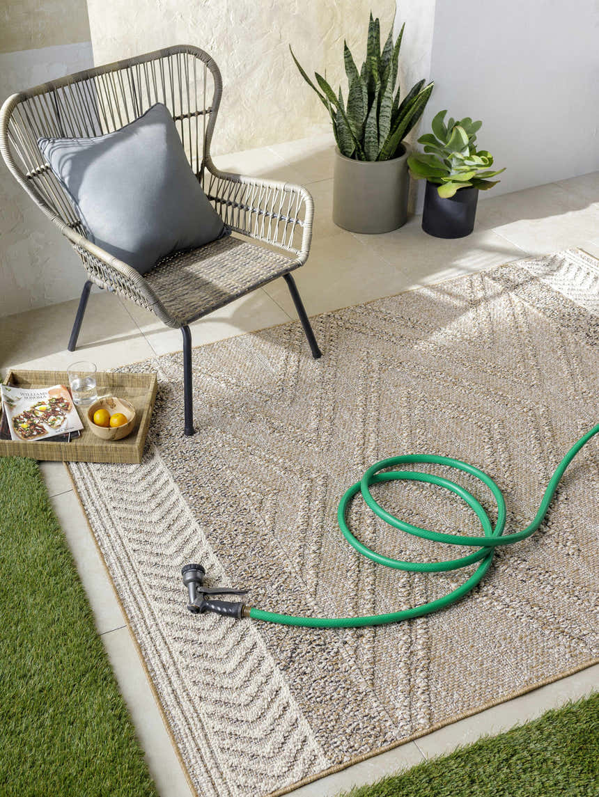 Outdoor patio scene with a beige Areli Area Rug, wicker chair, plants, and a garden hose. Roomscene-Rectangle