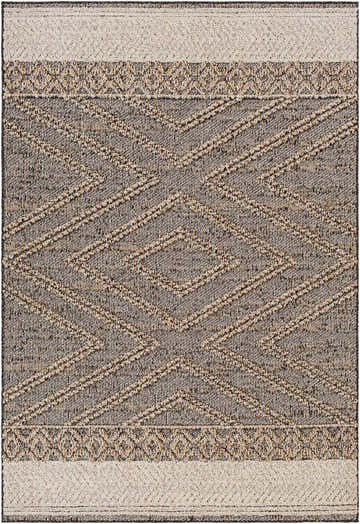 Close-up of Beige Charcoal Areli Area Rug. Geometric, southwestern design with black, mustard, and taupe tones. Design-Rectangle-537