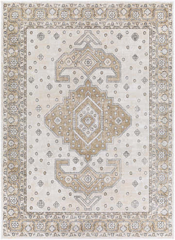 Close-up of the Southwark Area Rug showcasing its beige, charcoal, and off-white vintage pattern. Design-Rectangle-710102