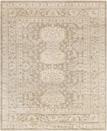 Close-up of the hand-knotted Stirum Area Rug. Light gray, taupe, wheat, and yellow oriental rug pattern. Design-Rectangle-810