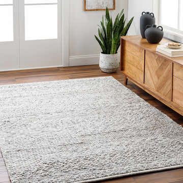 Living room scene with gray Amon Area Rug, wood cabinet, and potted snake plant creating a cozy, contemporary vibe. Roomscene-Rectangle