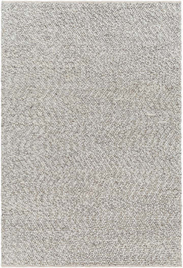 Close-up of the hand woven Chole Area Rug showing texture and neutral gray color variations. Design-Rectangle-576